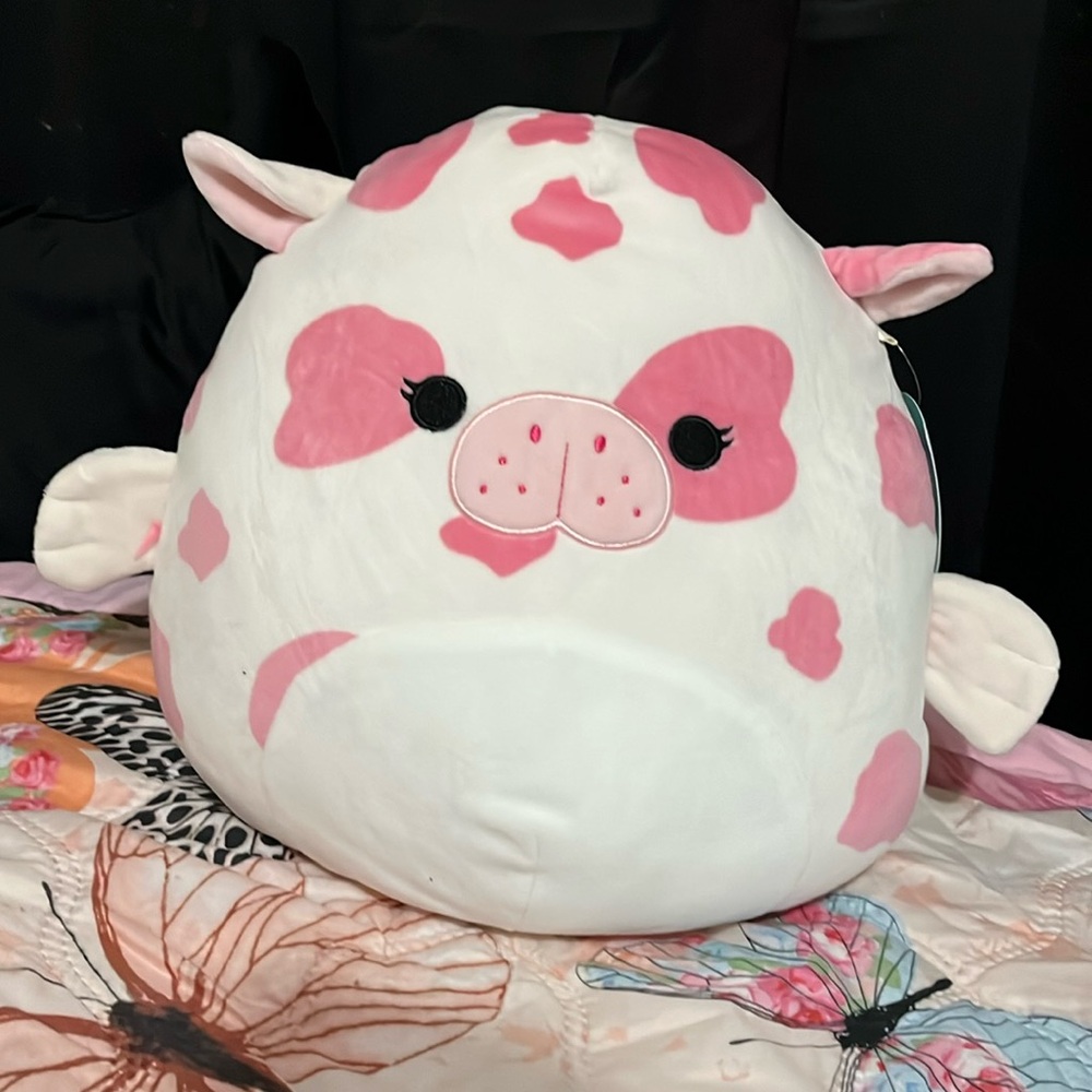 squishmallow with tag